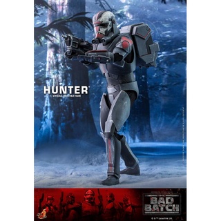 Hot Toys Tms