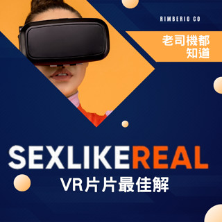 SLR Sex Like Real 單月特價300元 白金會員 極客嚴選Meta SLR帳號 VR Quest3 蝦皮購物