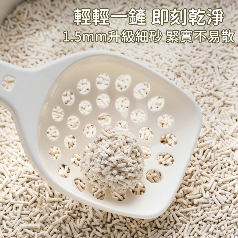 6款貓砂推薦！貓奴必看：終極挑選指南，不再為貓咪煩惱