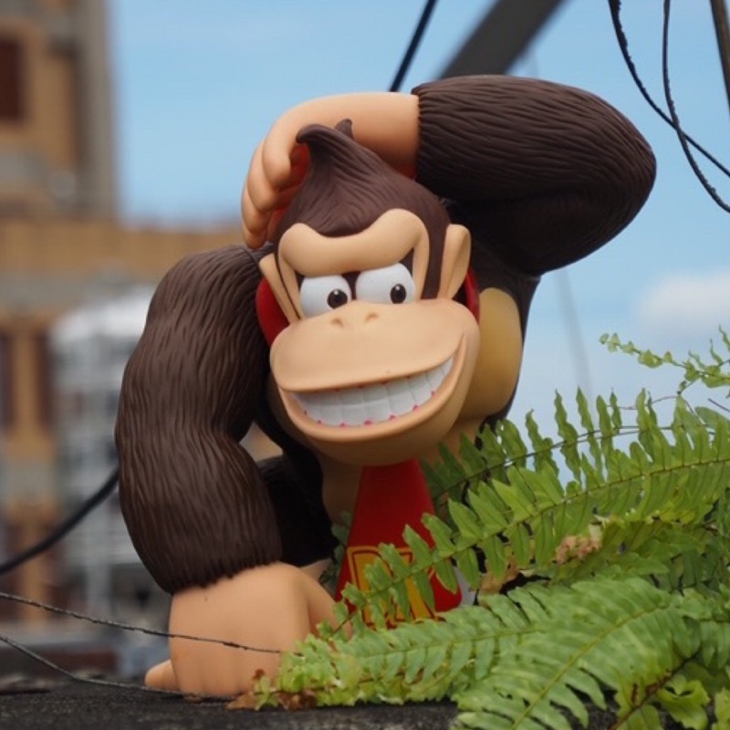 2008年 任天堂 12吋 大金剛 馬力歐 瑪麗歐 馬利歐 瑪利歐 Nintendo Mario Dunkey Kong | 蝦皮購物