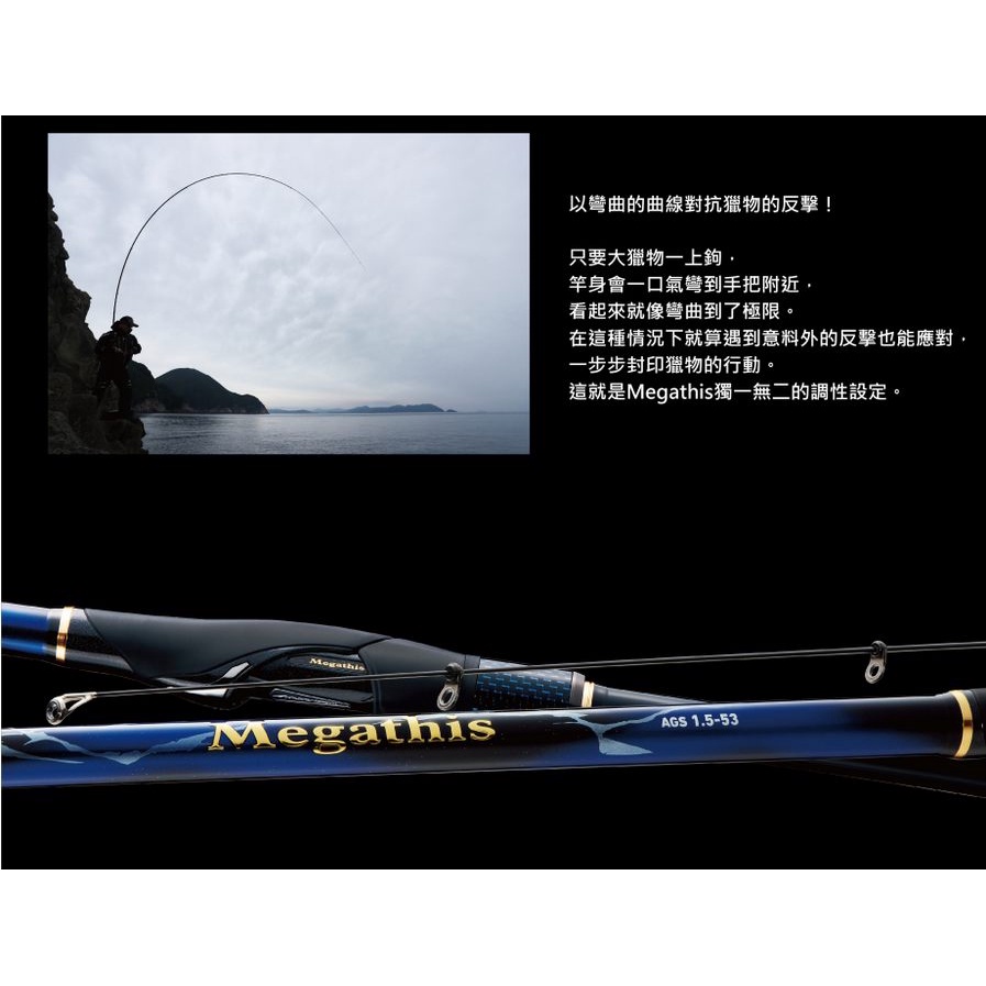 海天龍釣具~DAIWA 21年MEGATHIS 新款紫電磯釣竿紫電磯釣竿DAIWA新款