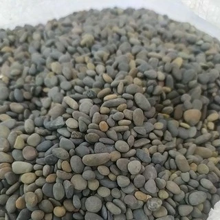 亞馬遜河砂 顏色自然美麗的造景砂 河沙 水族缸造景砂
