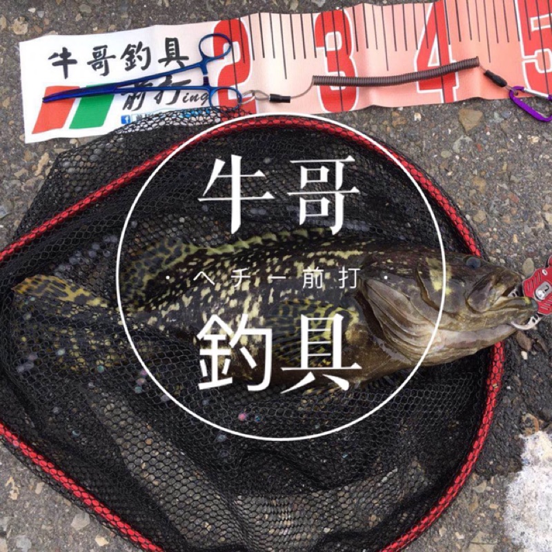  Gefischtter 50 個釣魚夾頭鉤引頭旋轉刀片Crappie  誘惑圓形球頭夾具,適用於低音釣魚套件,附釣魚釣具盒(1.6 克) : 運動和戶外活動