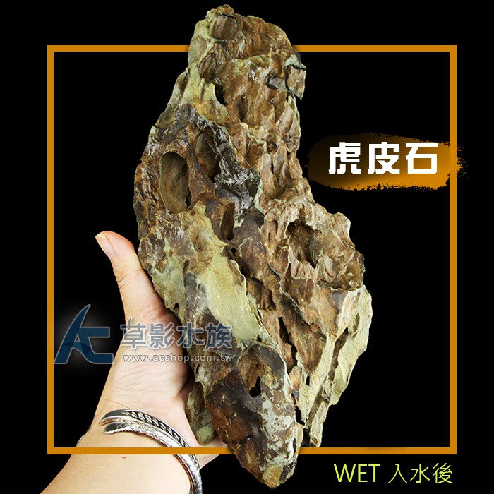 AC草影】虎皮石（L/1kg）【一份】水族造景魚缸造景造景水草石材造景 