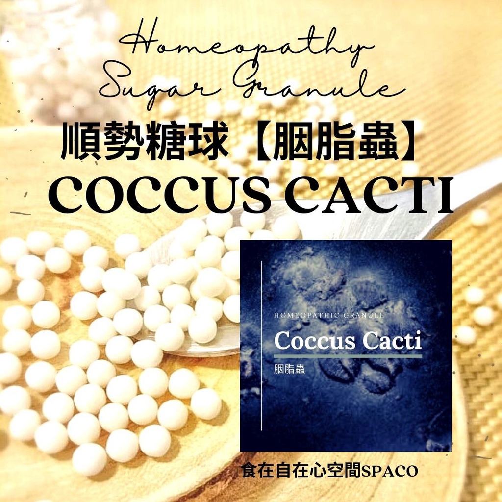 順勢糖球【胭脂蟲 Coccus Cacti】Homeopathic Granule 9克 食在自在心空間 蝦皮購物
