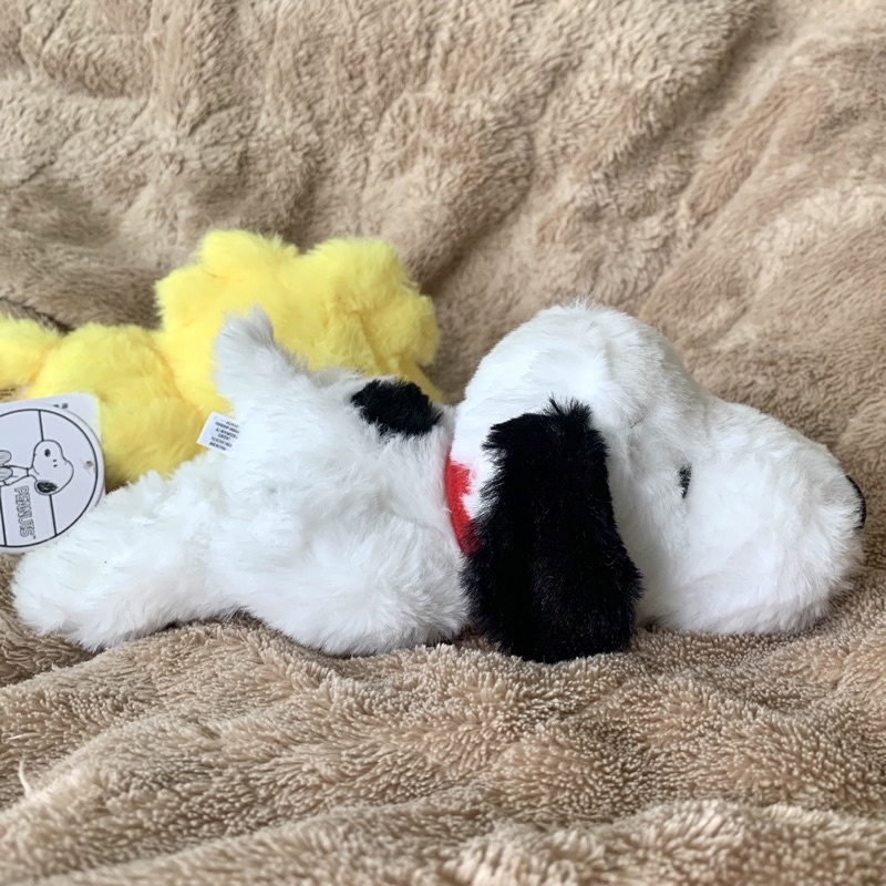 【現貨 正品】snoopy玩偶 史努比 玩偶 療癒 狗 snoopy 擺設 小獵犬 娃娃 可愛的東西 禮物 聖誕 | 蝦皮購物