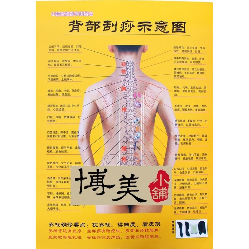 背部刮痧示意圖 刮痧圖 刮痧穴位圖 全息經絡刮痧板 刮痧板 專用 | 蝦皮購物