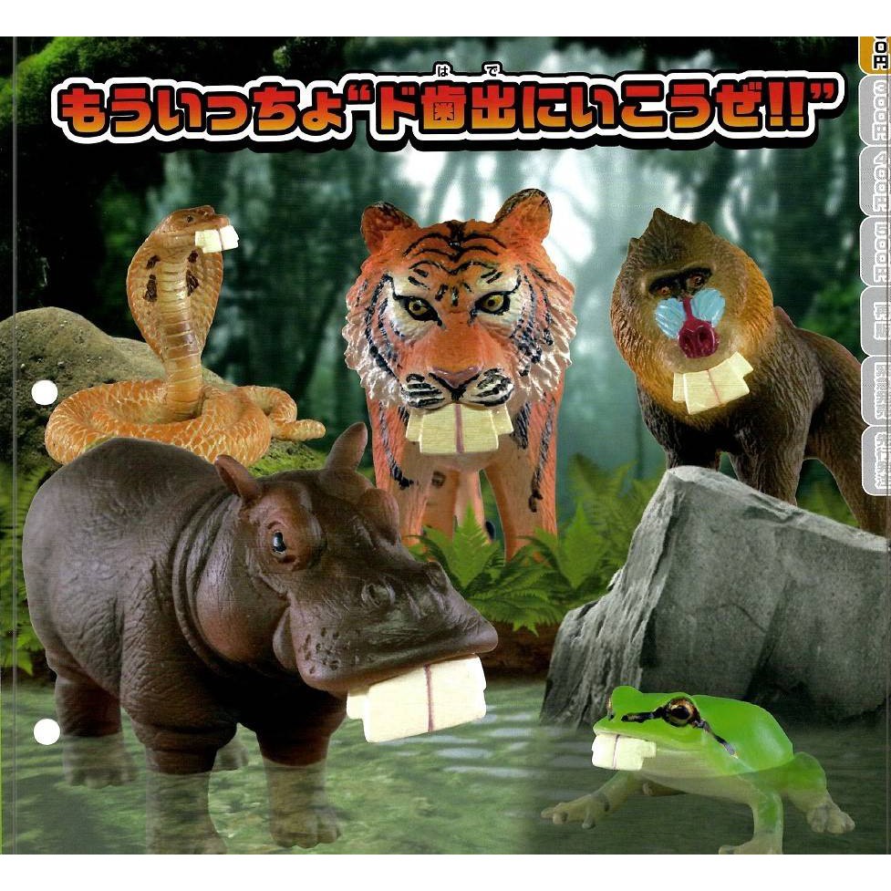 「芃芃玩具」 轉蛋 扭蛋 DEPPA ANIMALS 暴牙 齙牙動物 P2 全5種 貨號88439 | 蝦皮購物