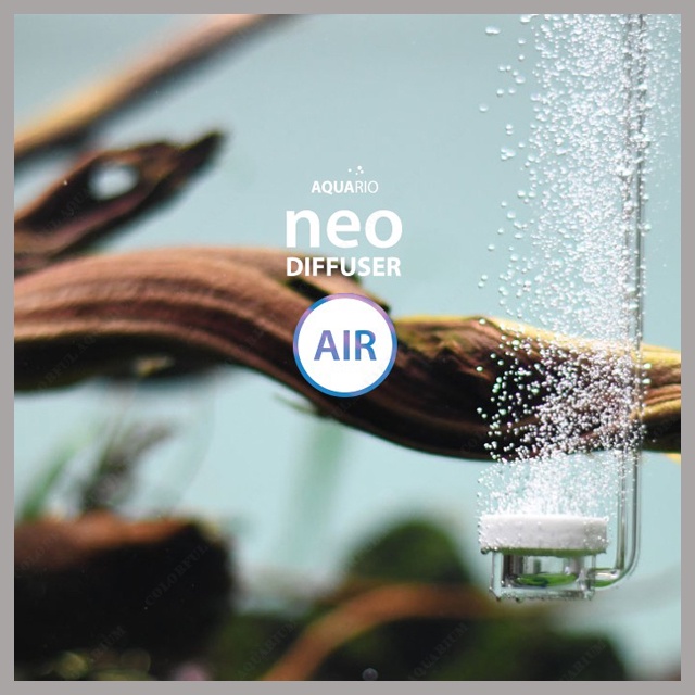 多彩雲水族⛅韓國NEO《AIR 溶氧器》neo Diffuser Air 氣泡石，空氣 細化器，霧化，溶氧器 細化 | 蝦皮購物