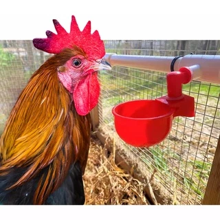 雞飲水機自動雞水杯塑料水杯飲水器, 帶 ID 20 / 25mm T 卹套件家禽鴿子鳥籠配件 1 套