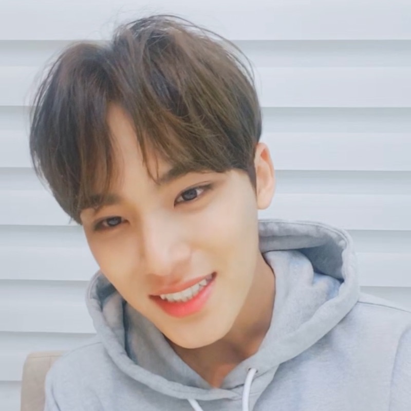 wvs LD] Seventeen 迷十二SPILL THE FEELS 迷12 weverse 秀俊勳