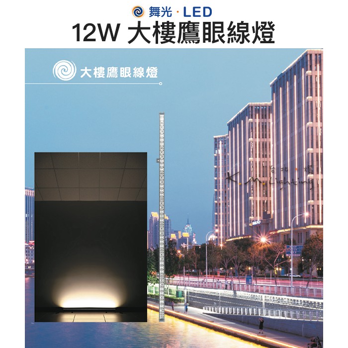 【台北點燈 】舞光・LED 12W大樓鷹眼線燈 IP66 黃光3000K 角度120度 OD-FI12W | 蝦皮購物