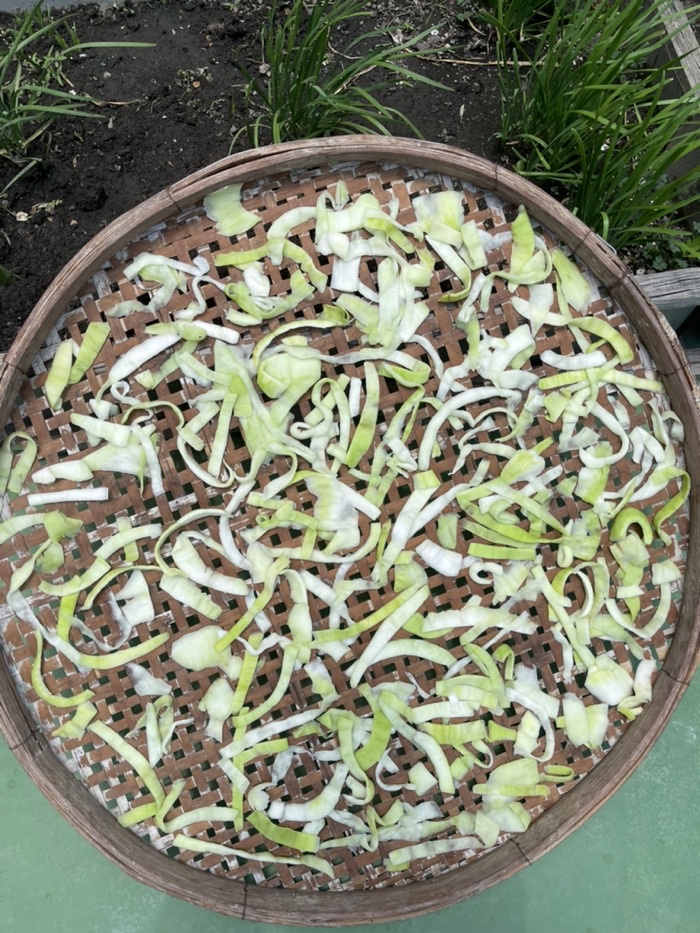 台灣生產製造瓠瓜(胡瓜)絲條/干瓢卷 瓠瓜絲 瓠瓜乾 蒲瓜 傳統食材 浦瓜 瓠瓜 包壽司 酸菜豬肚蒲阿結湯(胡瓜 | 蝦皮購物