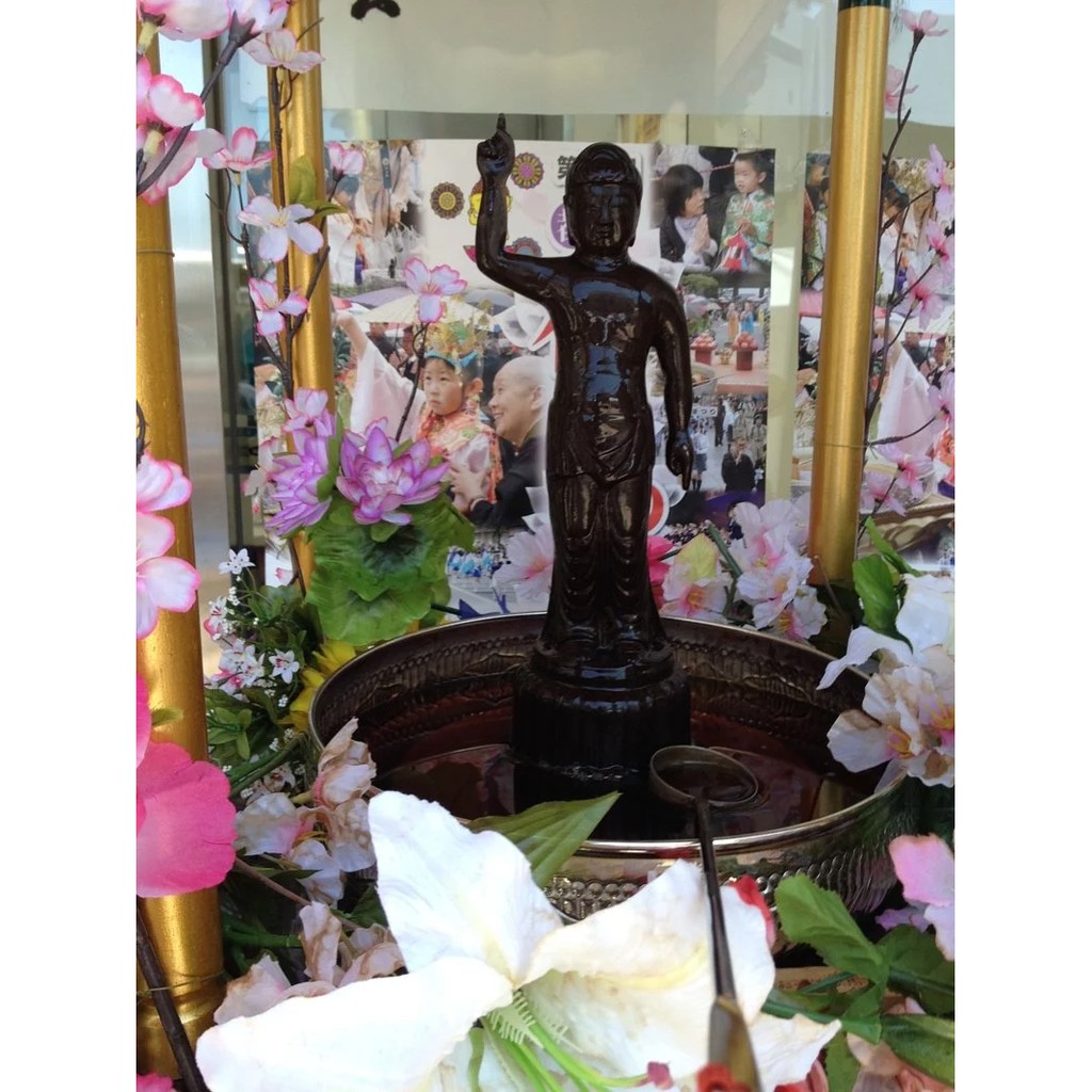 雷光精素─【豐盛之龍的滿月（豊かなる龍の満月）】－風水環境精素系列（Ray Essences）／日本 | 蝦皮購物