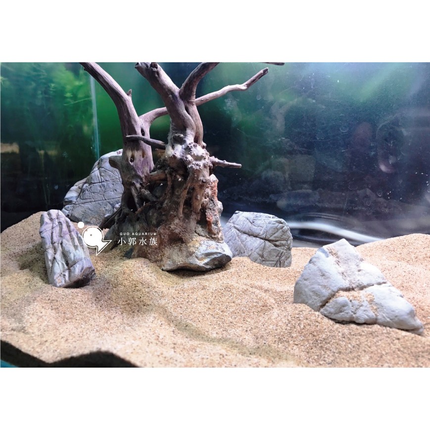 小郭水族-造景【龍涎石1kg】隨機出貨青龍石龍王石可參考ada常勝軍