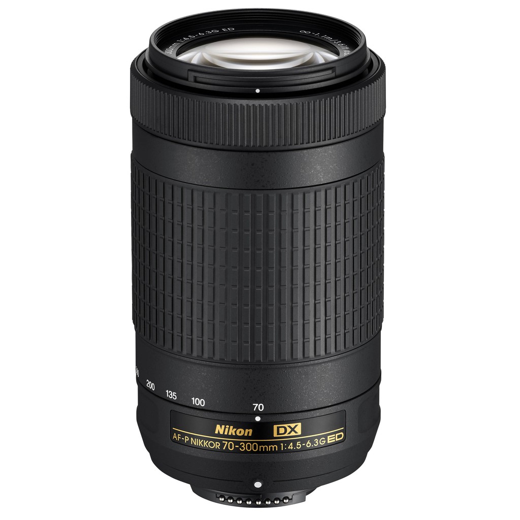 □望遠 Nikon AF-P DX 70-300mm F4.5-6.3G ED-