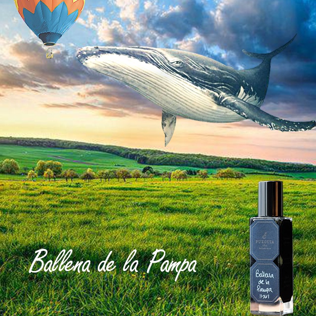 FUEGUIA フエギア バジェーナデラパンパBallenadela Pampa