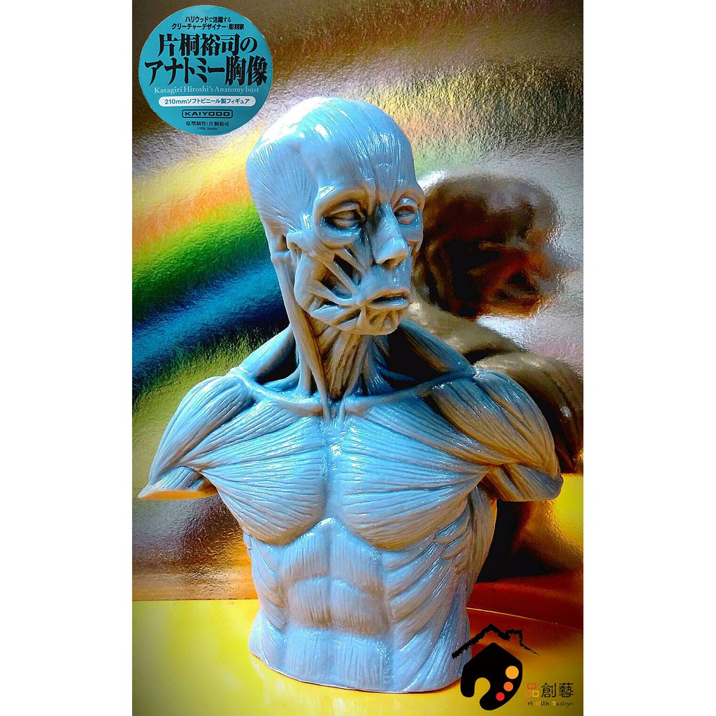 海洋堂KAIYODO 片桐裕司21公分半胸像Soft Vinyl “Anatomy Bust”-灰色