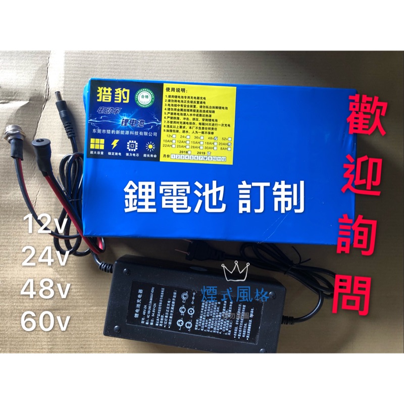 各式電池訂制品質好12-70v 鋰電池100瓦至1000瓦電動車電動自行車| 蝦皮購物