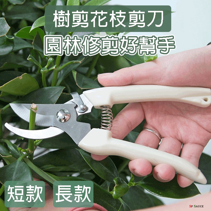 不銹鋼 樹枝剪 修枝剪 花木剪刀 園林 花藝果樹剪 花枝剪刀 園藝剪刀 高枝剪 粗枝剪刀 修花剪刀 果樹剪 園藝剪 | 蝦皮購物