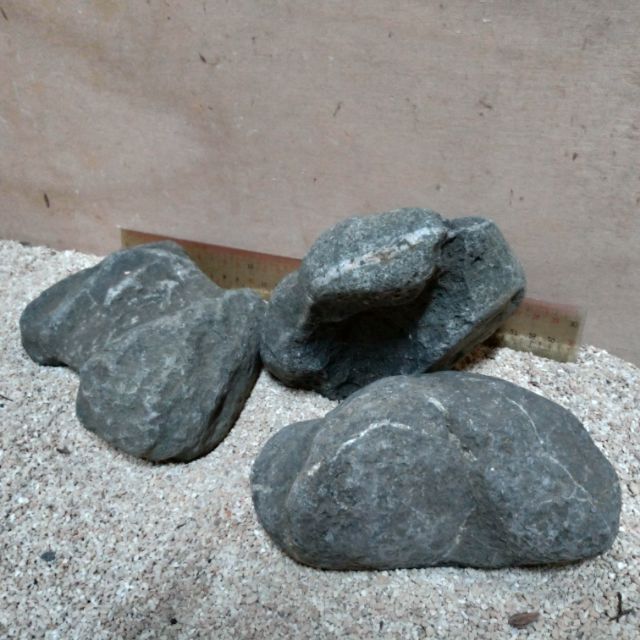 柘造景藝術-八海石(勿直接下單) | 蝦皮購物