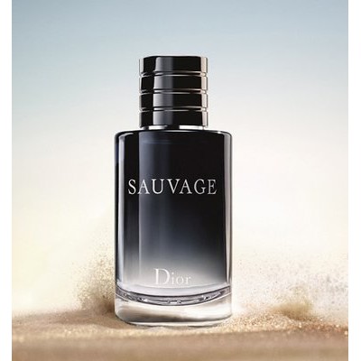 尋香小站》Christian Dior 迪奧SAUVAGE 曠野之心男性香水系列60/100ml 