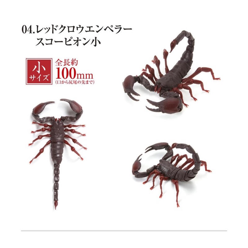 貓轉角】『現貨單售區』BANDAI 生物大圖鑑蠍子篇全五款蠍子帝王蠍紅爪