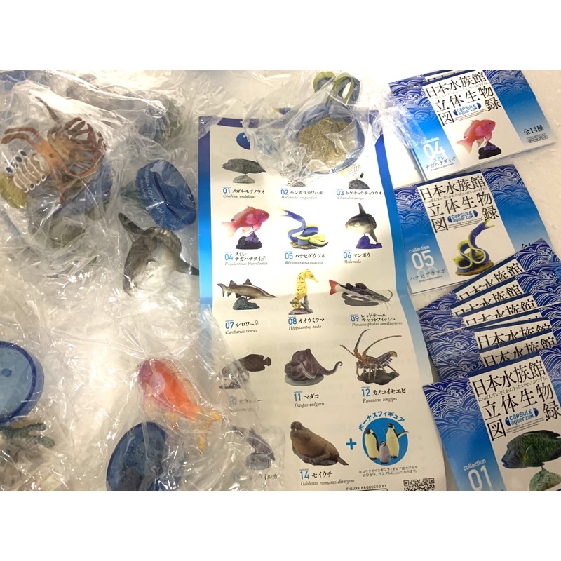 日本水族館立体生物図録 第1弾 全14種コンプリート （日本水族館