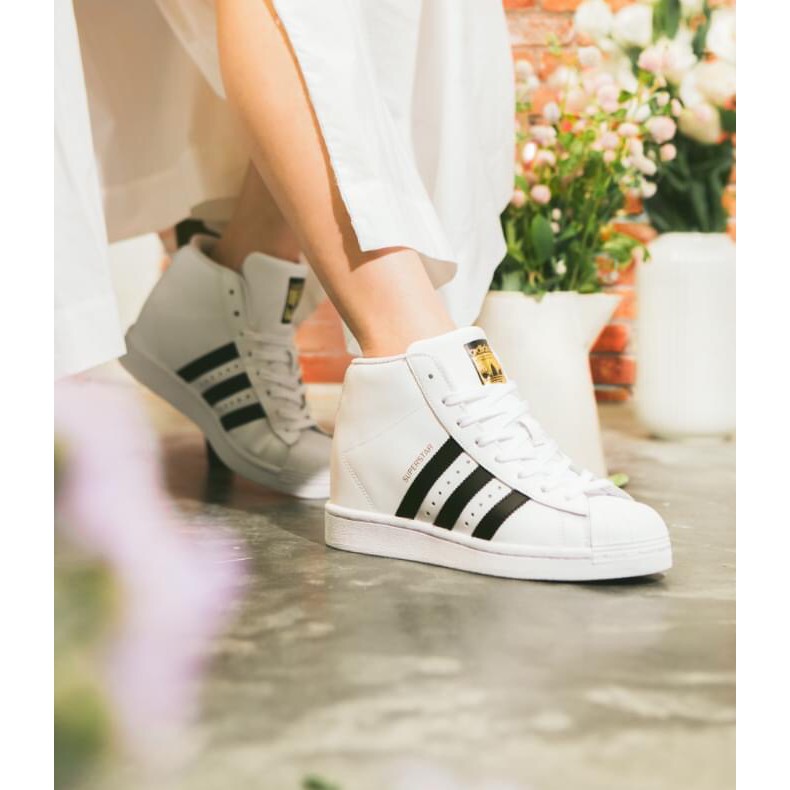 Adidas original on sale superstar high top