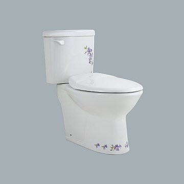 和成彩繪系列兩件式馬桶 CS4394(AL)/CS4396(AL) /300/400mm | 蝦皮購物