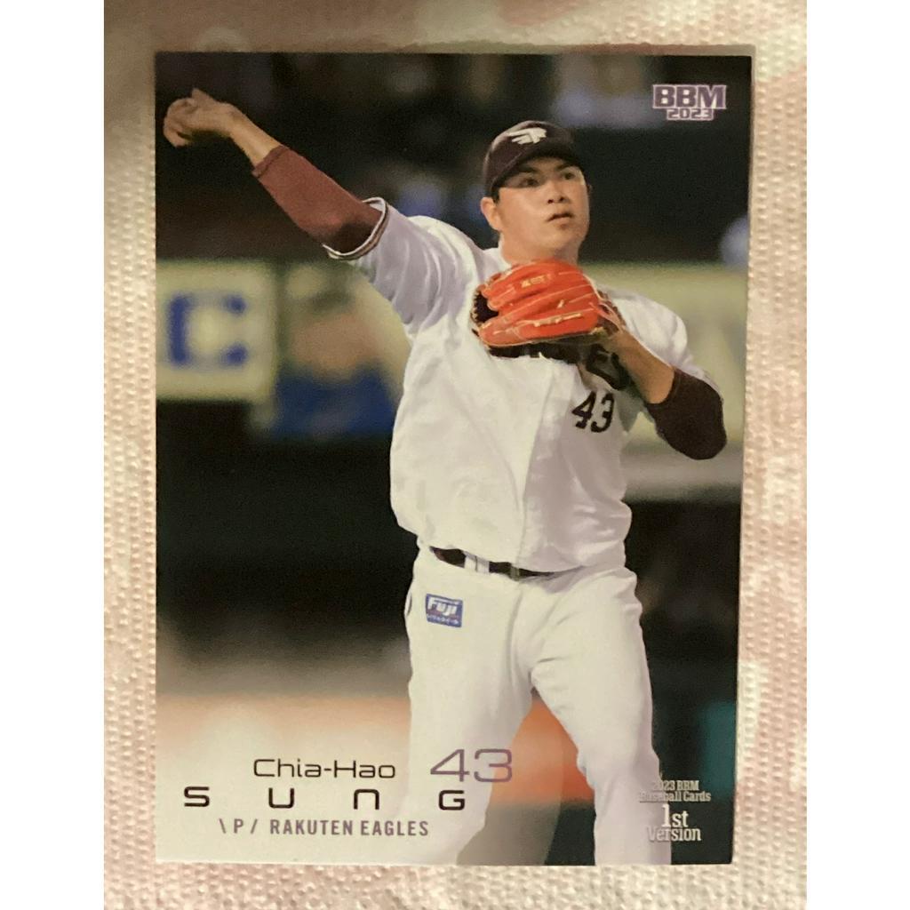2023 World Baseball Classic - Game-Used Jersey - Chinese Taipei - Chia-Hao  Sung #43 - Size L