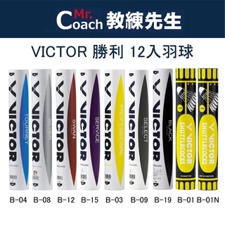 【教練先生】VICTOR 勝利 天鵝級羽球 專業級 精選級 練習級 羽毛球 羽球 12入 SWAN B-12
