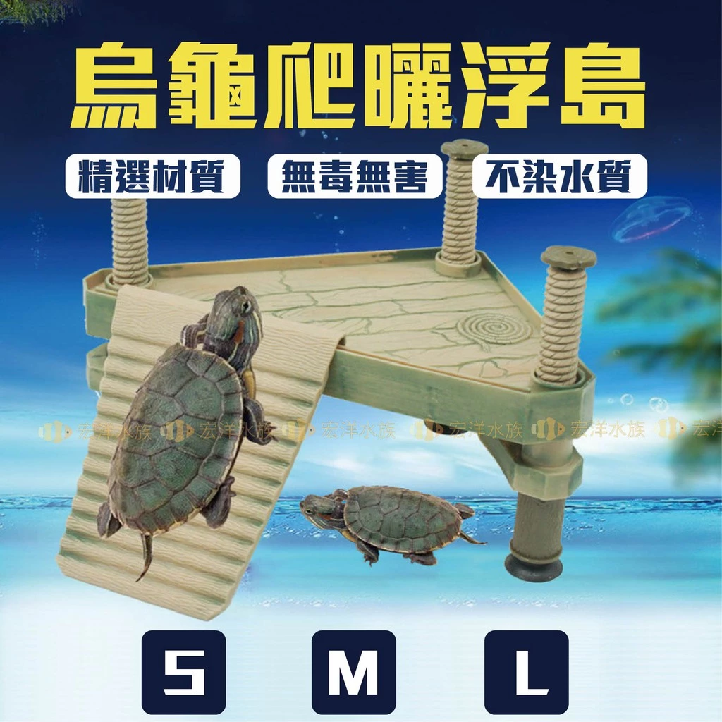 焦糖變異巴西龜飼養，宏洋水族烏龜浮島曬台，靠浮力隨水位調整高度