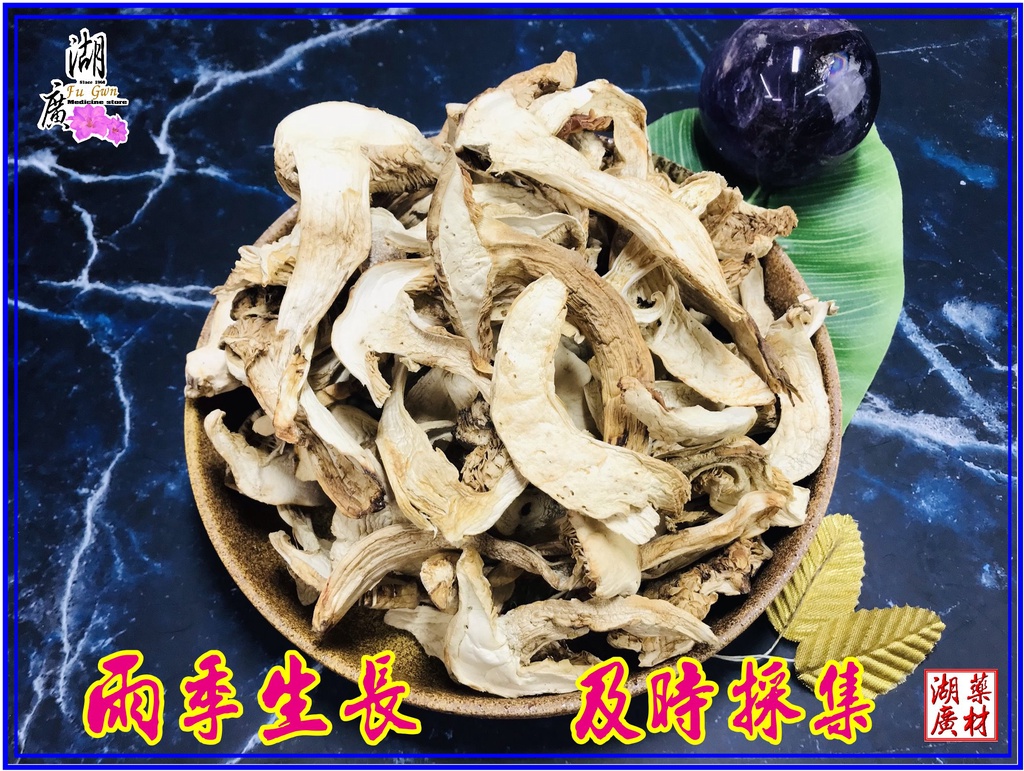 松茸 野生松茸片 以及 養殖松茸片 香格里拉松茸片 松菌 松口菌/一包100公克【啟陞食品】湖廣藥材 迪化街一段74號 | 蝦皮購物