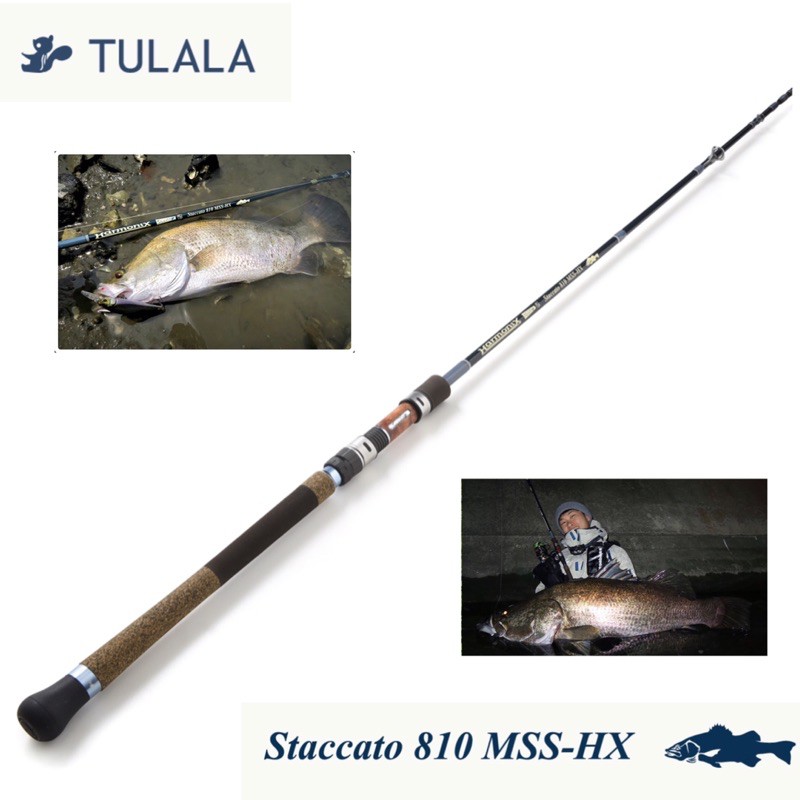 Tulala Staccato Corona 頂規系列【現貨】Staccato 810 MSS-HX Tulala Staccato Corona 頂規系列【現貨】Staccato 810 MSS-HX