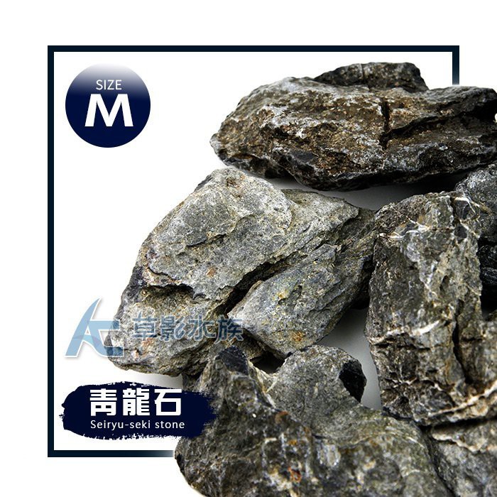 MSS-1777 青龍石 30cm親石 龍王石