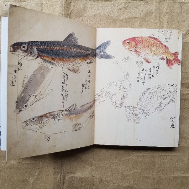鏡花全集 特製本 巻十五 毛筆署名落款入 / 泉鏡花 小村雪岱