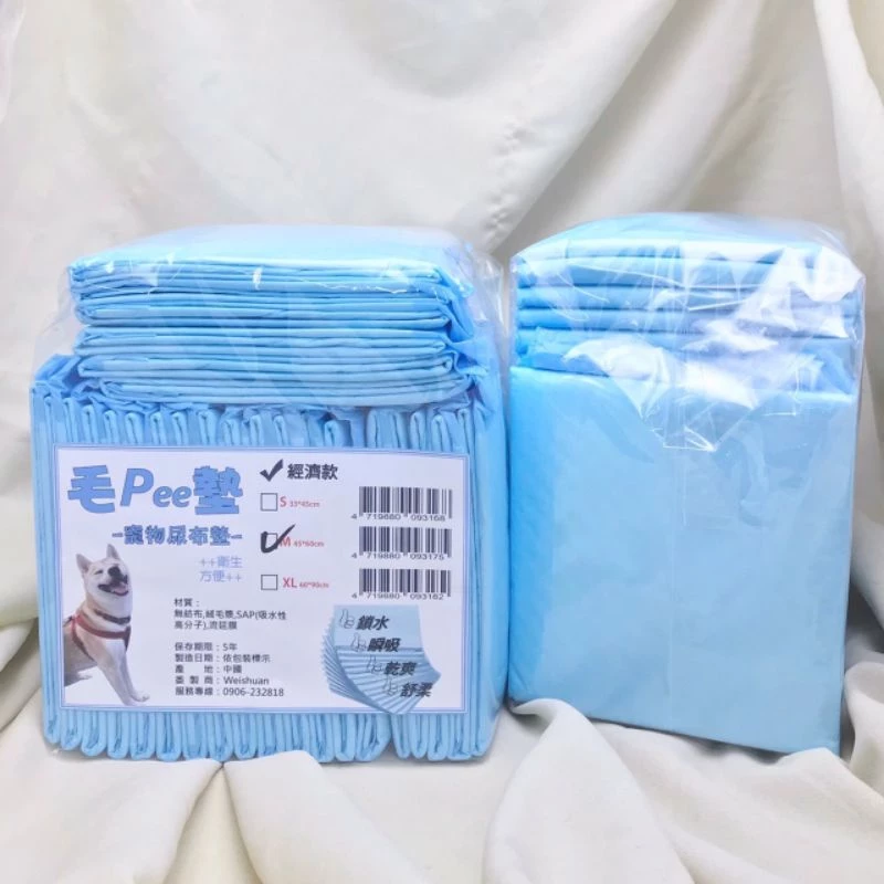 6款貓尿布推薦:解決毛孩排泄問題的必備選擇! 6款貓尿布推薦:解決毛孩排泄問題的必備選擇!