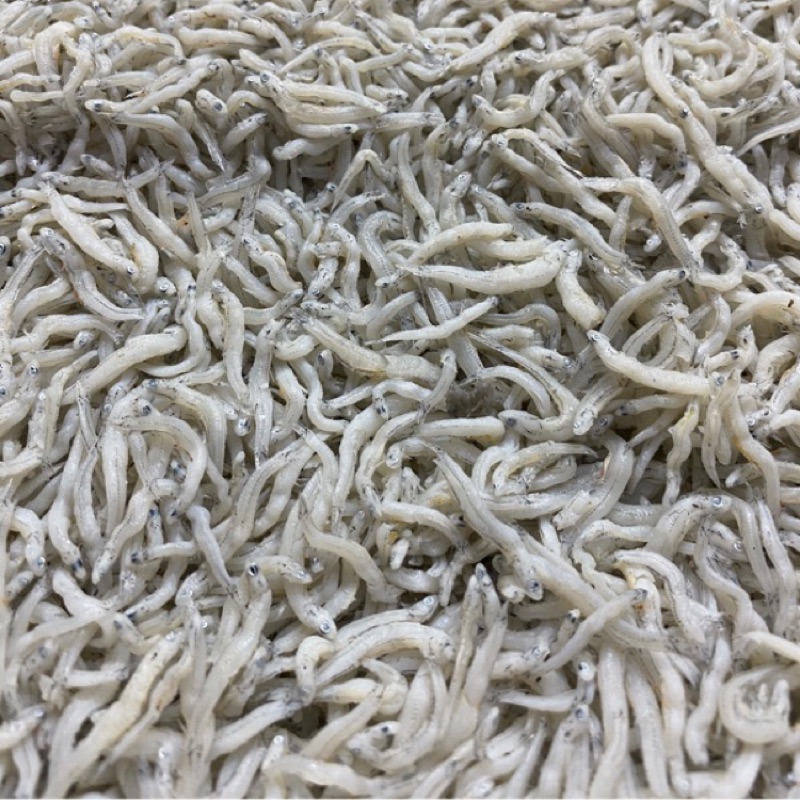 現流水煮吻仔魚1㎏ 包裝 魩仔魚 寶寶粥 | 蝦皮購物
