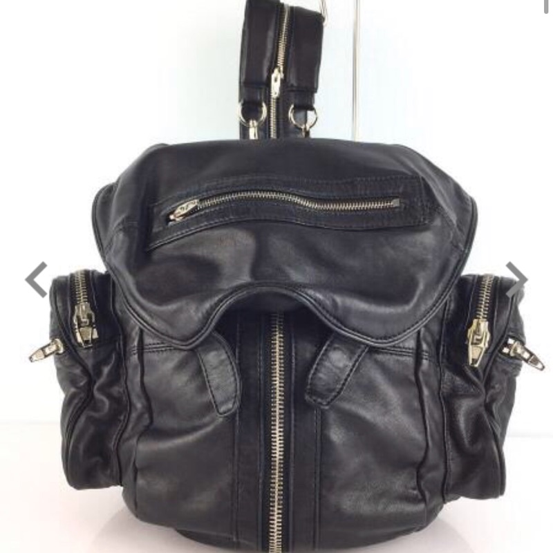 Alexander wang marti online bag