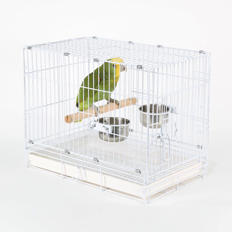 大鸚帝國】AVIAN WORLD / 舒適柔光鸚鵡籠(7047)/壓克力不鏽鋼鳥
