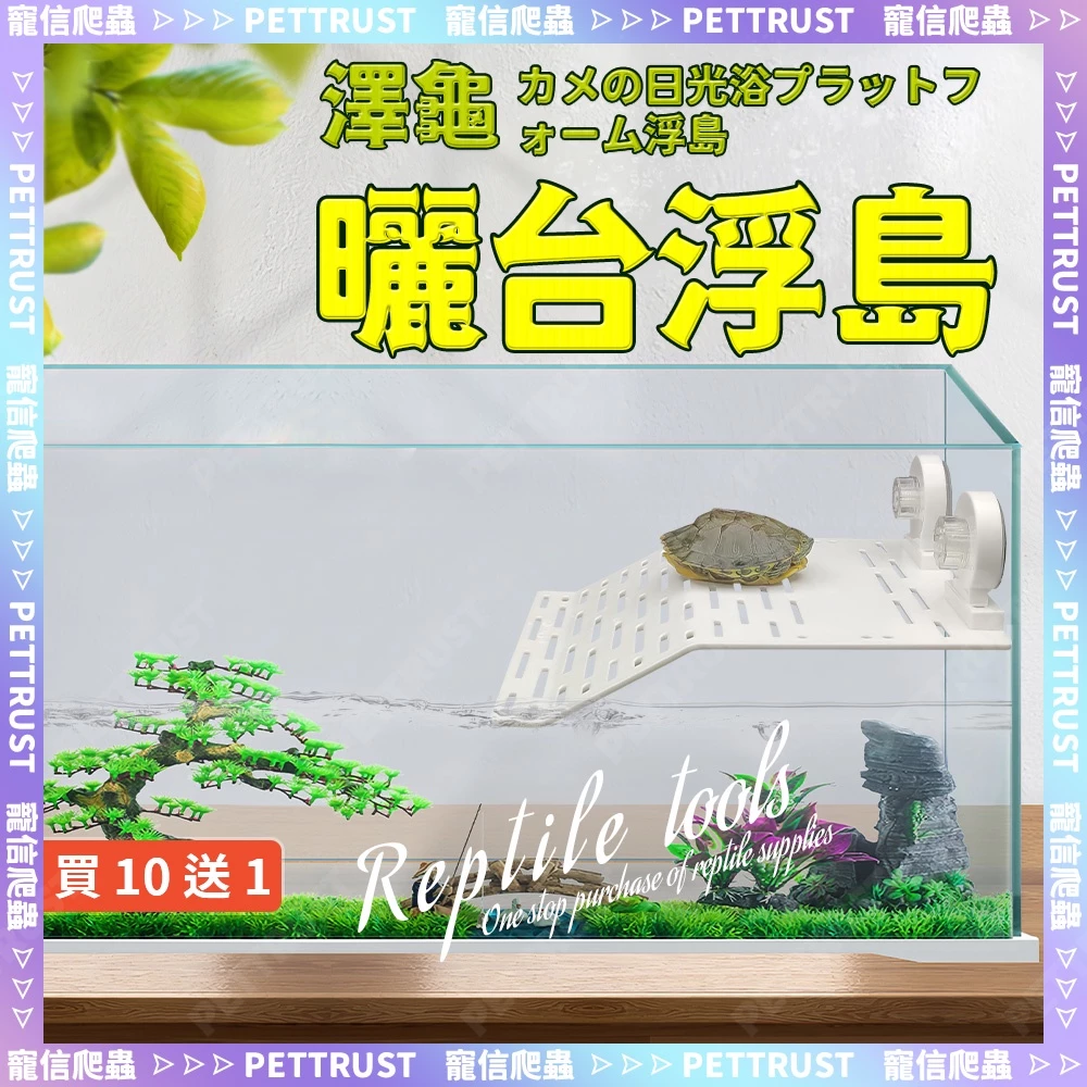 烏龜浮島曬台，階梯式浮板加吸盤固定，紅面蛋龜爬上去曬殼用