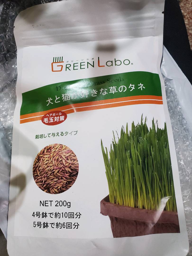 GREEN Labo.　犬と猫が好きな草のタネ　200g　