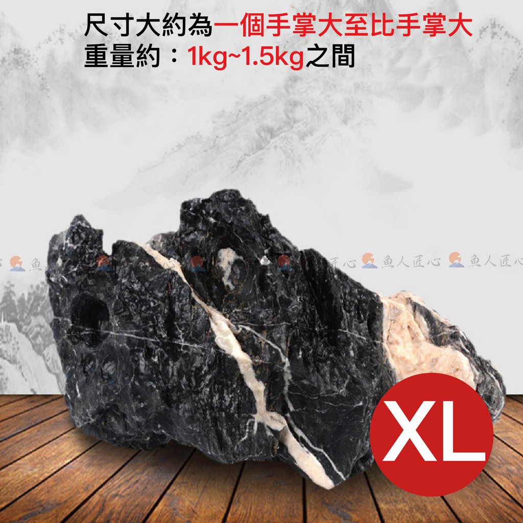 MSS-1777 青龍石 30cm親石 龍王石