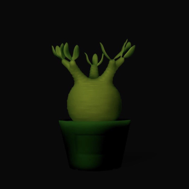 正品保證］Medicom Toy x Botanize VCD Pachypodium Gracilius