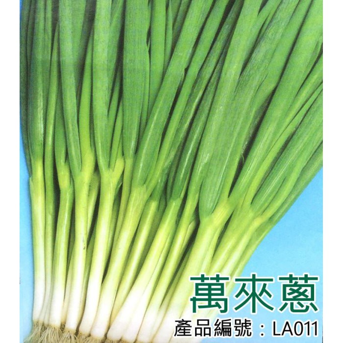 【醬米資材】DIY種子栽種 成就滿滿~萬來蔥 | 蝦皮購物