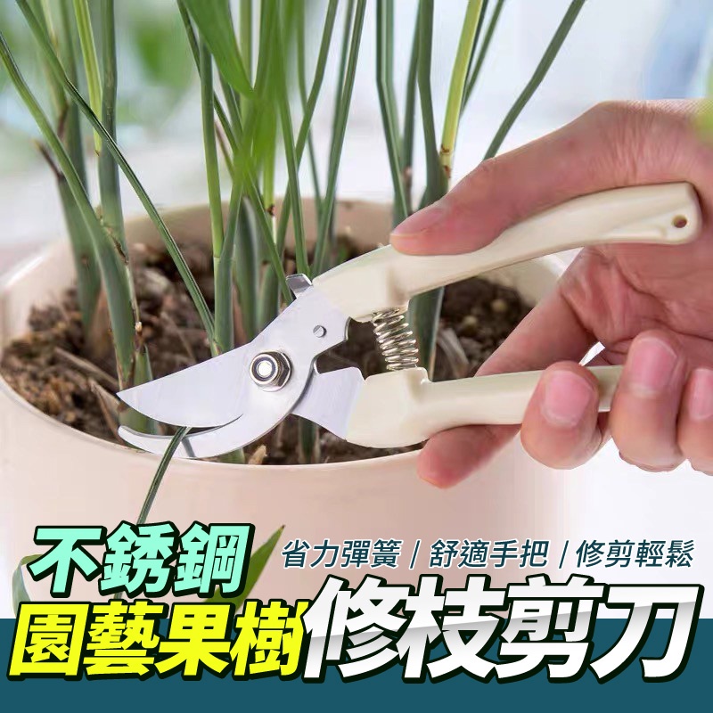 園藝剪刀👏樹枝剪 修枝剪 花木剪刀 園林 花藝果樹剪 花枝剪刀 園藝剪刀 高枝剪 粗枝剪刀 修花剪刀 果樹剪 園藝剪 | 蝦皮購物