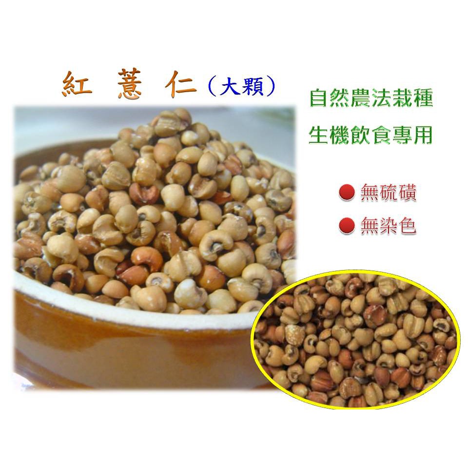 紅薏仁 大顆600g 超值真空包★自然農法栽種,生機飲食專用★通過農藥重金屬黃麴毒素檢驗☆mami的魔法廚房 | 蝦皮購物