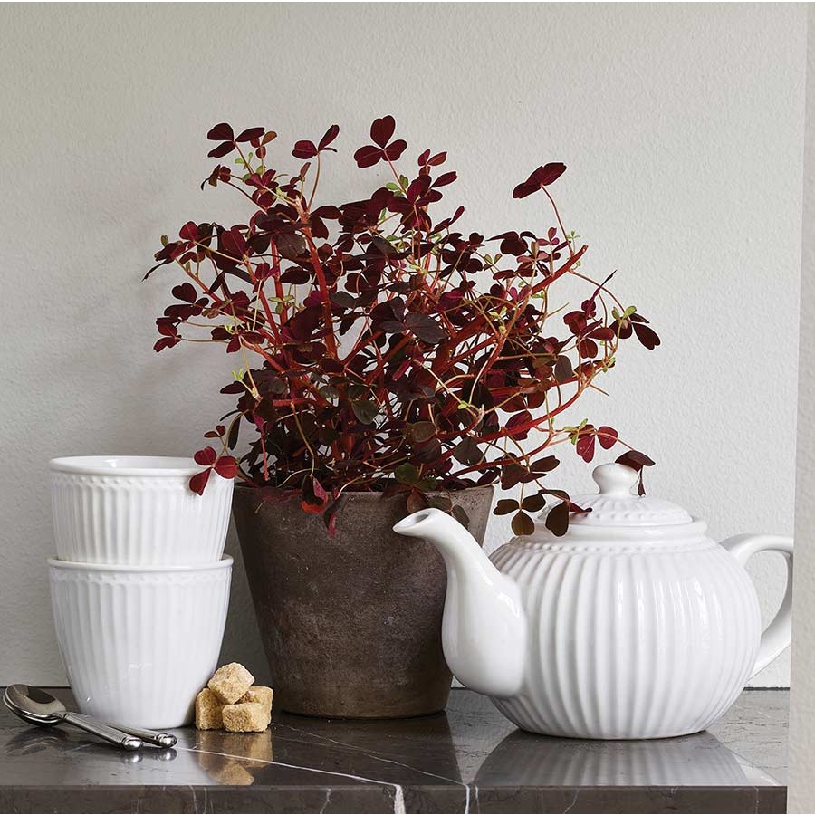 丹麥GreenGate】Alice系列茶壺共13款《WUZ屋子-台北》GreenGate 茶壺