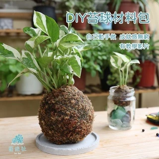 【藍綠社】DIY苔球材料包｜含教學